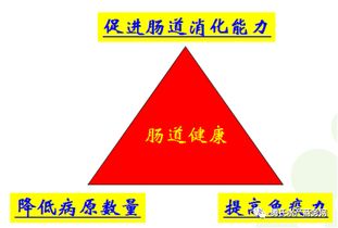推广丨水产养殖的关键在于养肠道 一文深度挖掘鱼类肠道微生态环境的特性