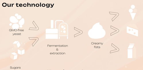 瑞士食品科技公司cultivated biosciences利用酵母生产奶油状脂肪,让植物基乳制品拥有 奶油味 瑞士创新100强