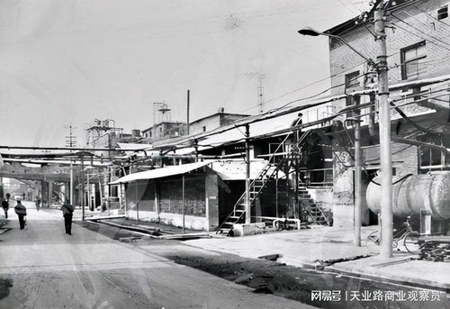 河南首富 乔金岭,幼年时奶奶自杀,成首富后自缢身亡
