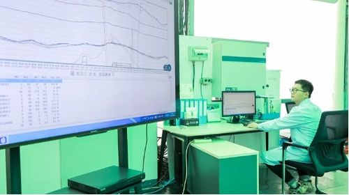 高新区 新市区 辖区企业高新植物工厂今冬头茬普罗旺斯雪山果新鲜上市