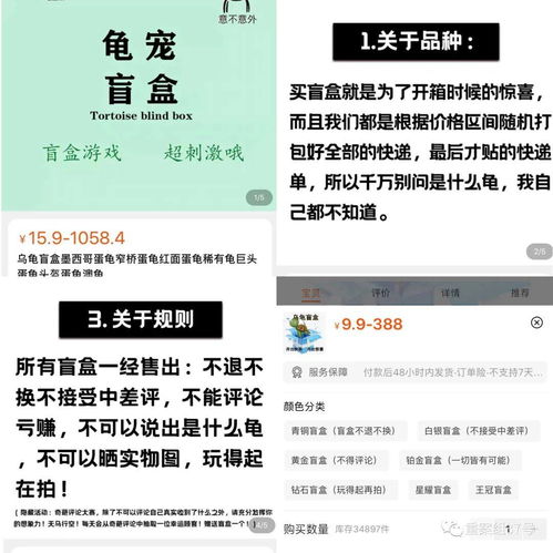 一旦售出,不退不换 活体动物盲盒乱象