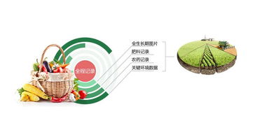 水果防伪溯源系统从源头做到绿色健康化