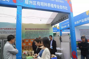 铜川市2018年扶贫产品交易会盛大开幕 以“易物”新思路，助脱贫致富路