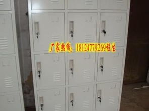 深圳供应双开门储物柜，15门员工储物柜定制报价——专业工厂车间储物柜生产商